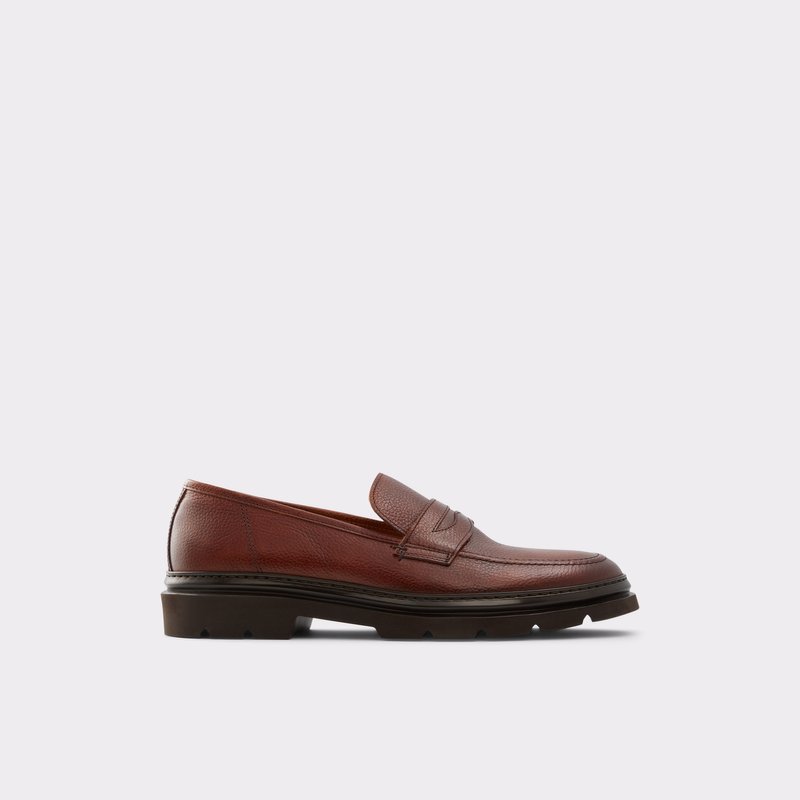 Men's Aldo Droarien Loafers Brown | 3652-ADNBU