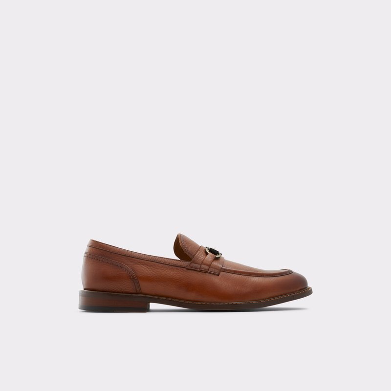 Men's Aldo Schergerflex Loafers Brown | 6183-NRHPF