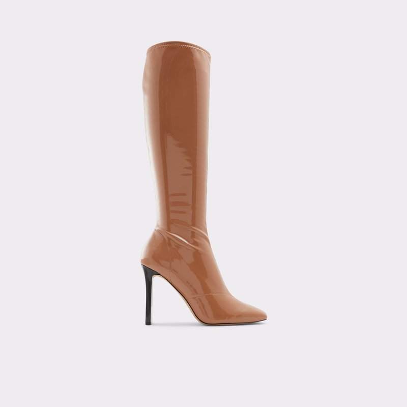 Women's Aldo Edigorwen Knee High Boots Dark Beige | 8051-CLAZT