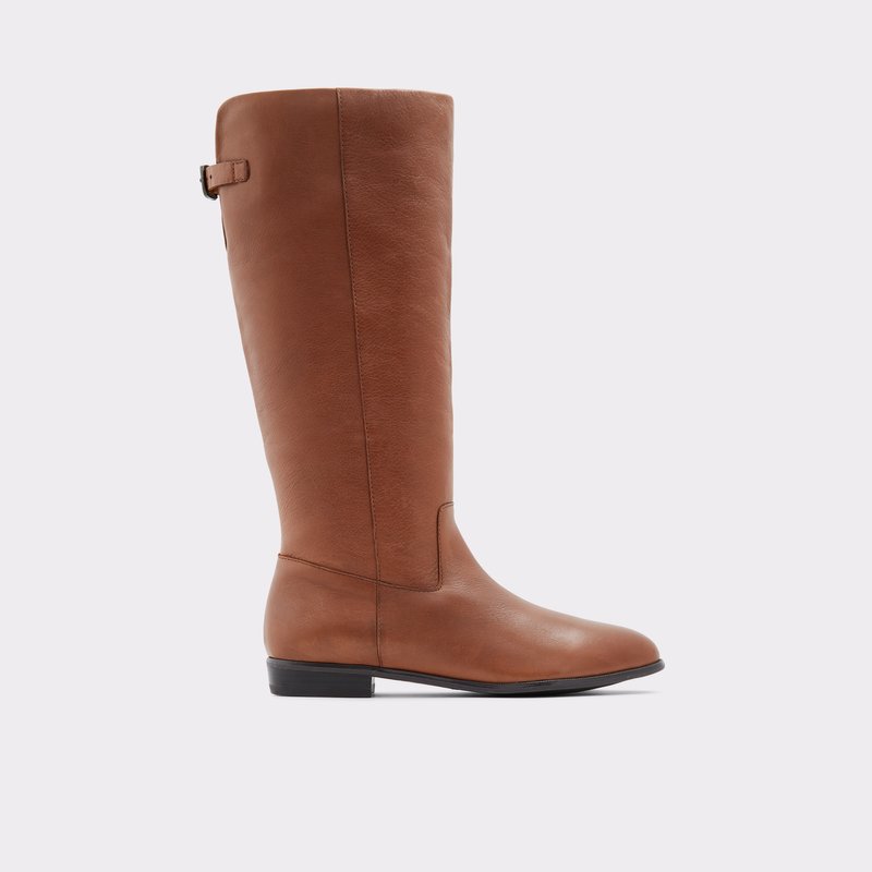 Women's Aldo Keesha-wwc Knee High Boots Brown | 7108-ICEZL