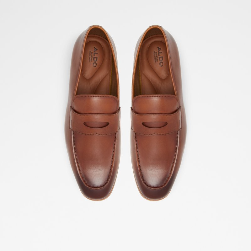 Men's Aldo Byron Loafers Brown | 9546-YNJDG