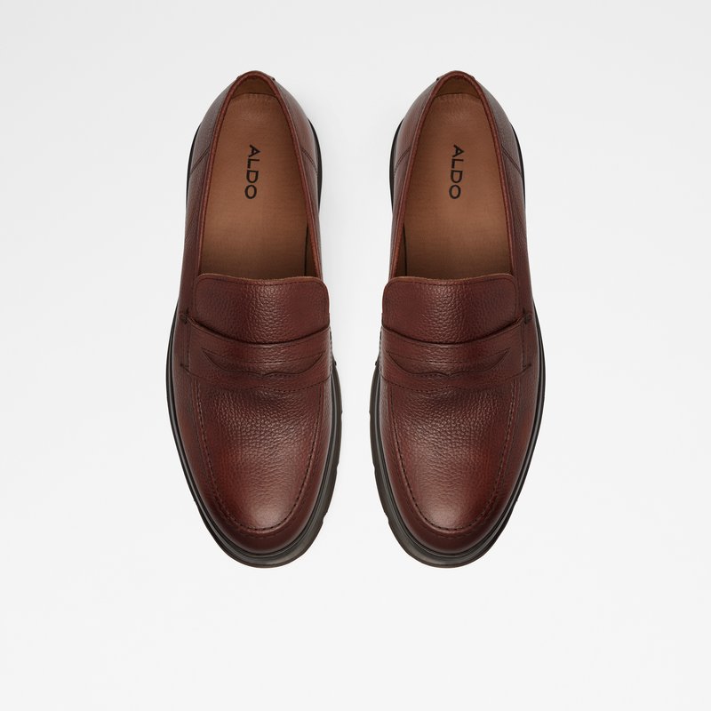 Men's Aldo Droarien Loafers Brown | 3652-ADNBU