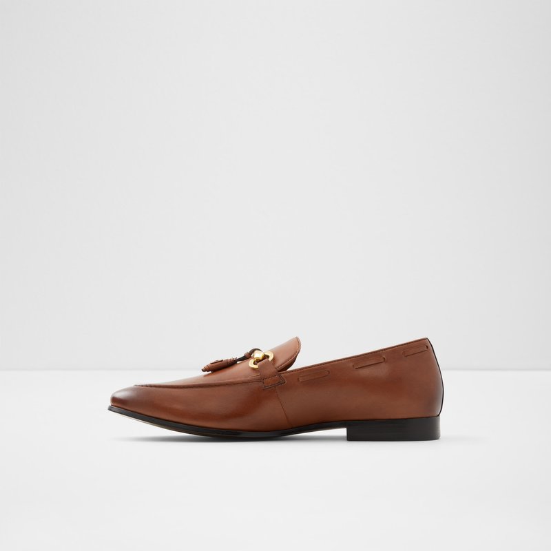 Men's Aldo Stokhid Loafers Brown | 9357-CPYGV