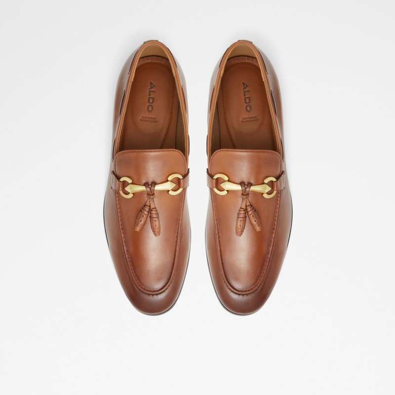 Men's Aldo Stokhid Loafers Brown | 9357-CPYGV