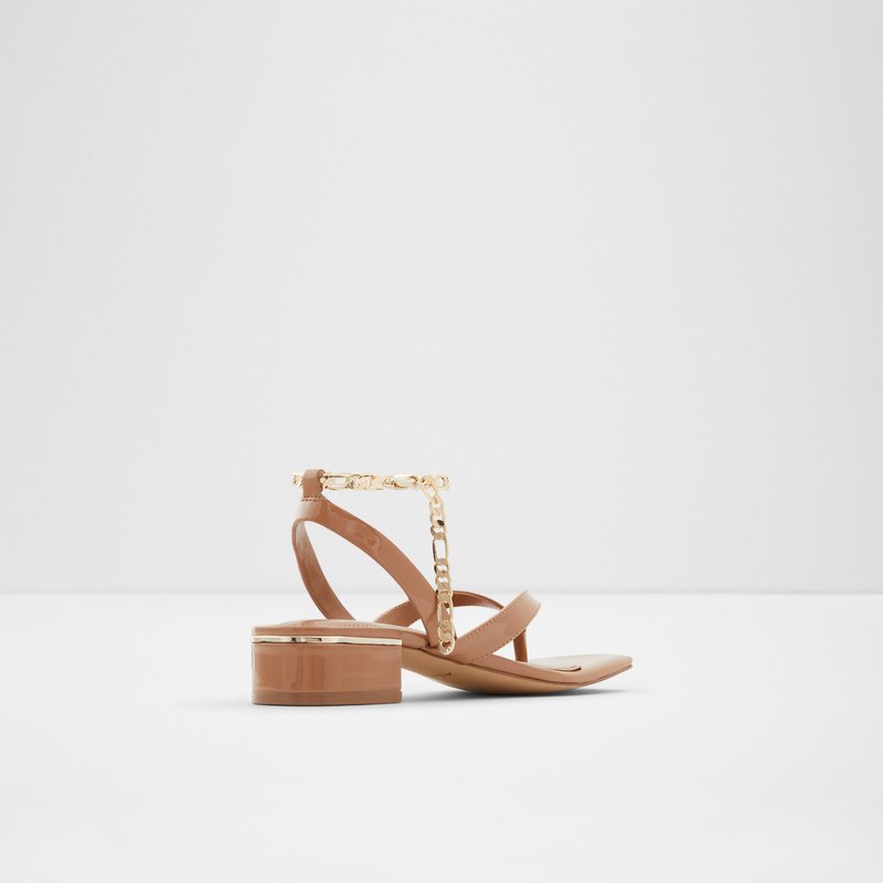 Women's Aldo Agralella Casual Sandals Dark Beige | 8159-XKQRM