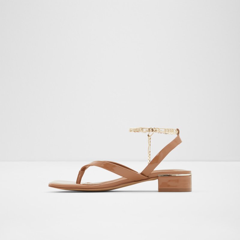 Women's Aldo Agralella Casual Sandals Dark Beige | 8159-XKQRM