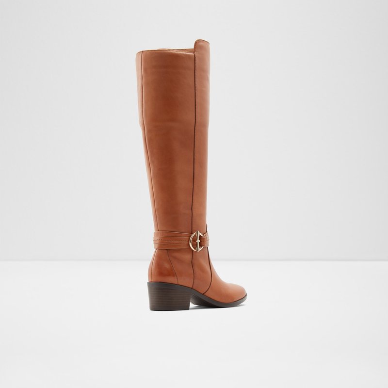 Women's Aldo Amby Tall Boots Brown | 1297-NISEM