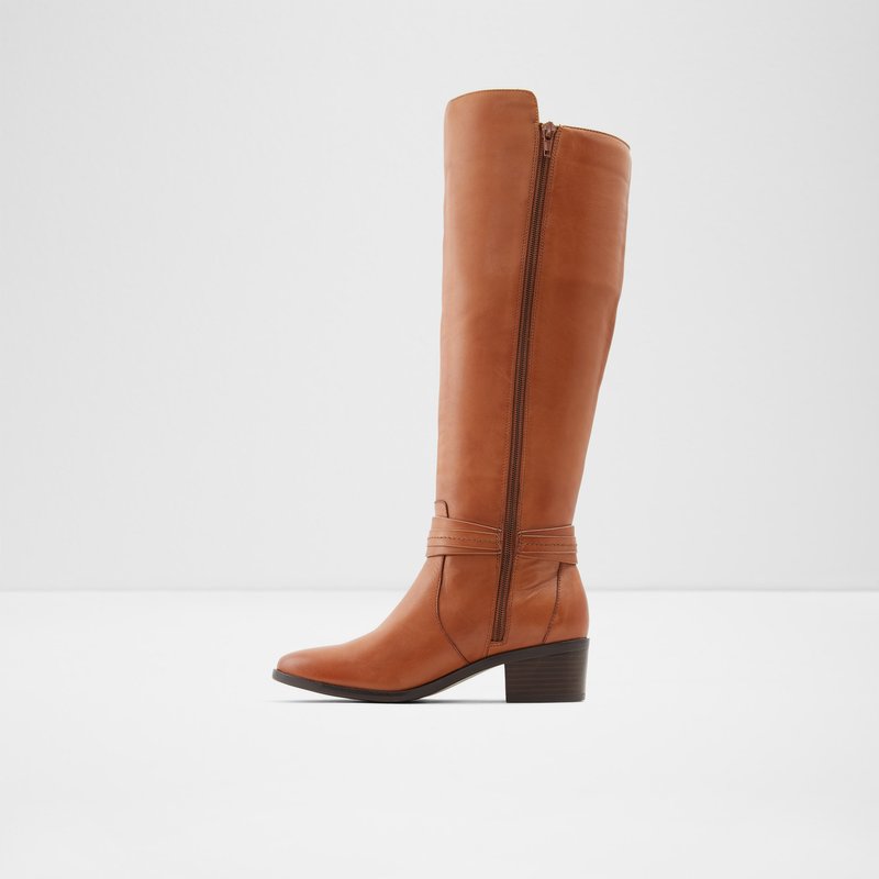 Women's Aldo Amby Tall Boots Brown | 1297-NISEM