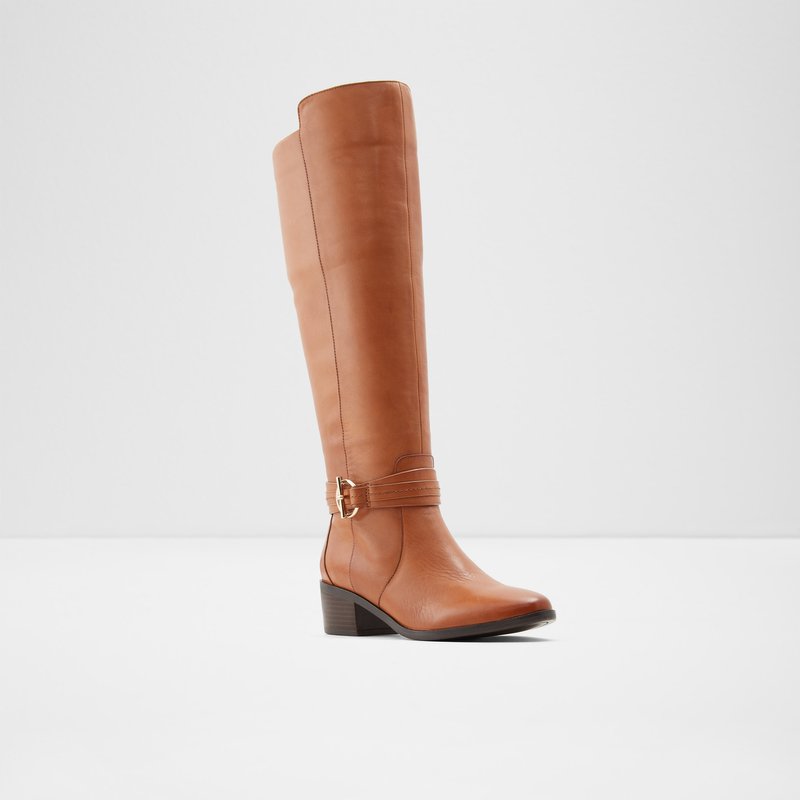 Women's Aldo Amby Tall Boots Brown | 1297-NISEM