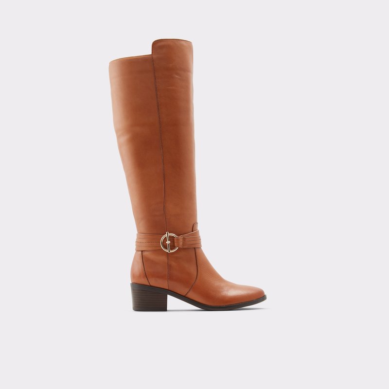 Women\'s Aldo Amby Tall Boots Brown | 1297-NISEM