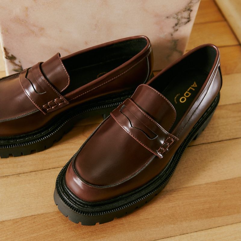 Women's Aldo Bigstrut Loafers Brown | 7689-GZDOX