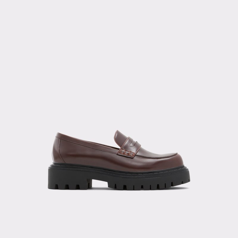 Women\'s Aldo Bigstrut Loafers Brown | 7689-GZDOX