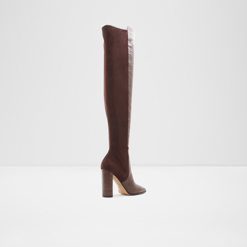 Women's Aldo Choan Over The Knee-Boots Brown | 5796-WKCLR