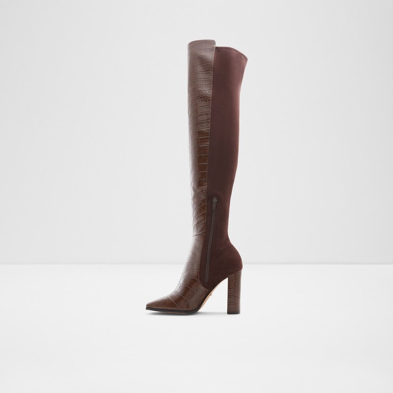 Women's Aldo Choan Over The Knee-Boots Brown | 5796-WKCLR