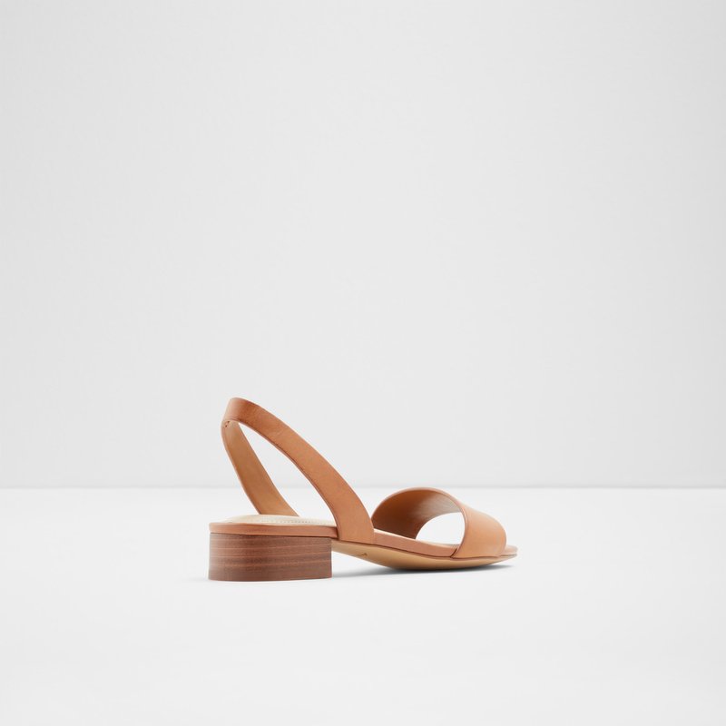 Women's Aldo Doredda Flat Sandals Brown | 6489-UPVHG