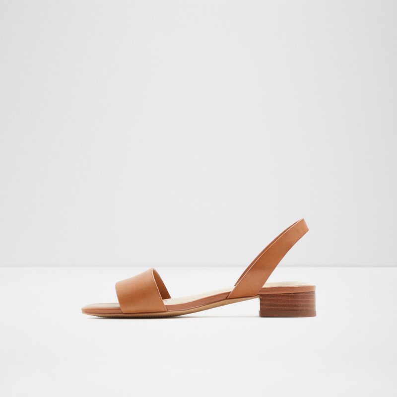 Women's Aldo Doredda Flat Sandals Brown | 6489-UPVHG