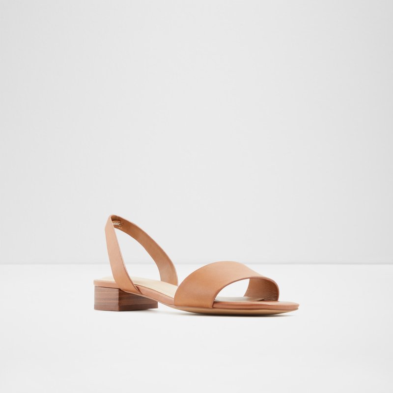 Women's Aldo Doredda Flat Sandals Brown | 6489-UPVHG