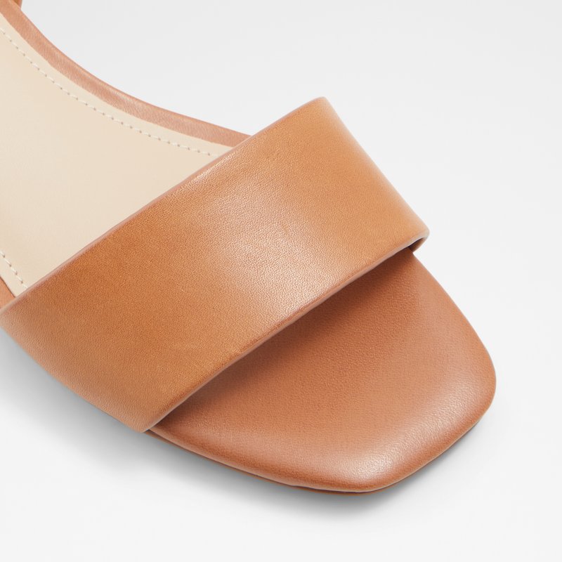 Women's Aldo Doredda Flat Sandals Brown | 6489-UPVHG
