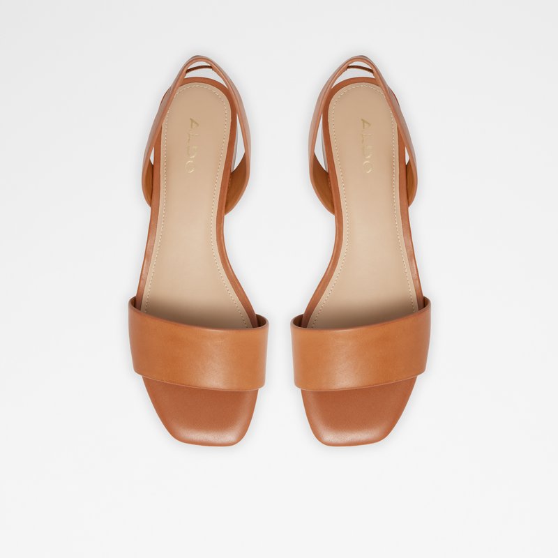 Women's Aldo Doredda Flat Sandals Brown | 6489-UPVHG