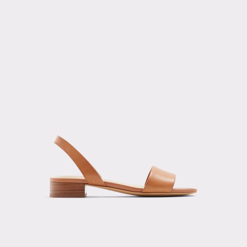 Women\'s Aldo Doredda Flat Sandals Brown | 6489-UPVHG