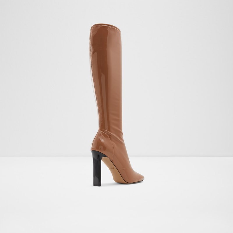 Women's Aldo Edigorwen Knee High Boots Dark Beige | 8051-CLAZT