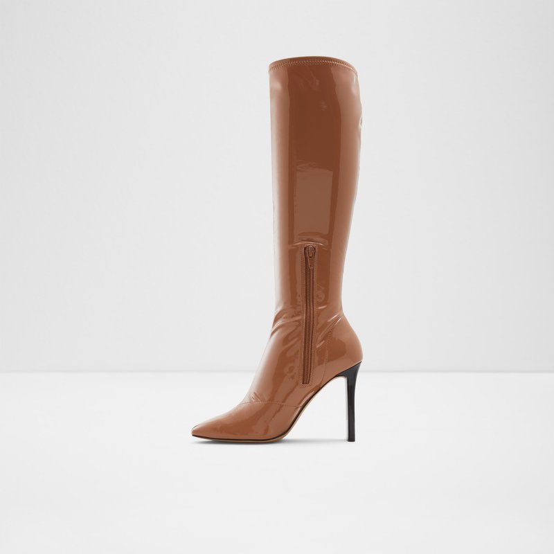 Women's Aldo Edigorwen Knee High Boots Dark Beige | 8051-CLAZT