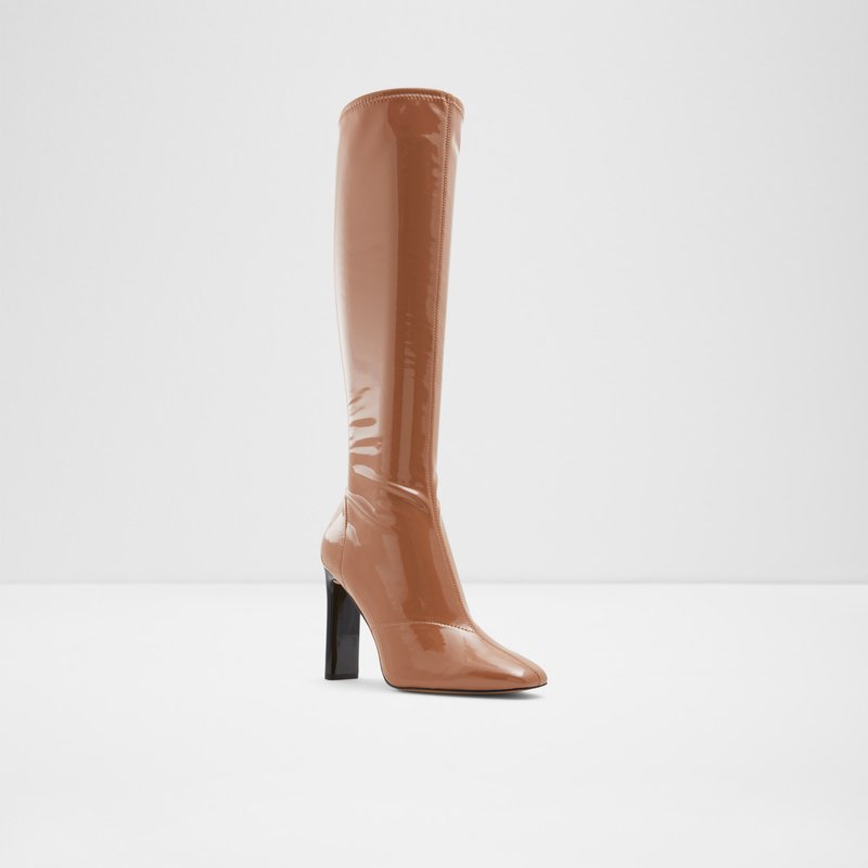 Women's Aldo Edigorwen Knee High Boots Dark Beige | 8051-CLAZT