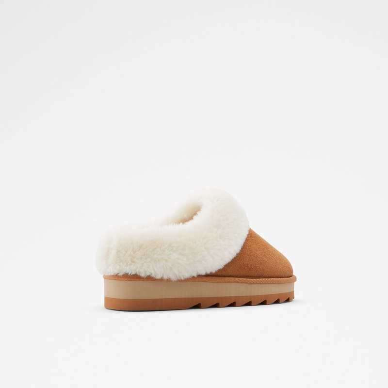 Women's Aldo Ethaynad Slippers Brown | 7260-JORQE