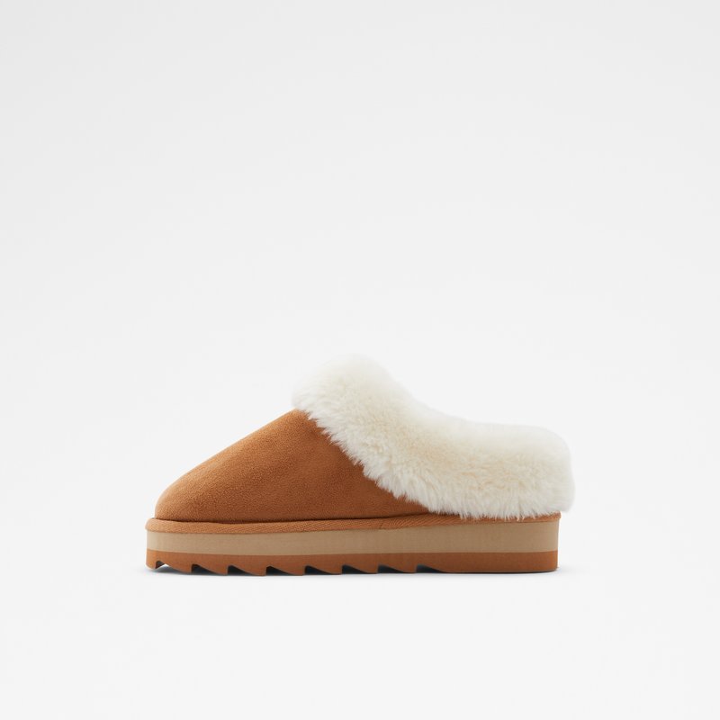 Women's Aldo Ethaynad Slippers Brown | 7260-JORQE