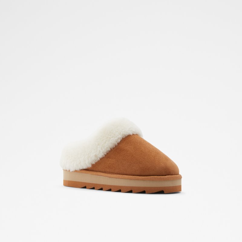 Women's Aldo Ethaynad Slippers Brown | 7260-JORQE