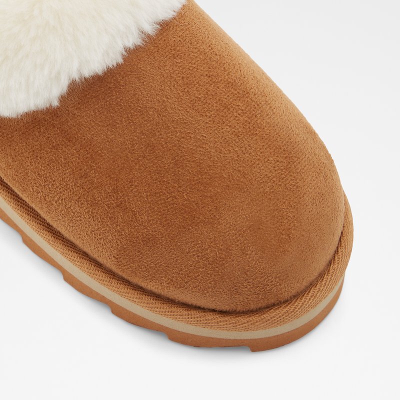 Women's Aldo Ethaynad Slippers Brown | 7260-JORQE
