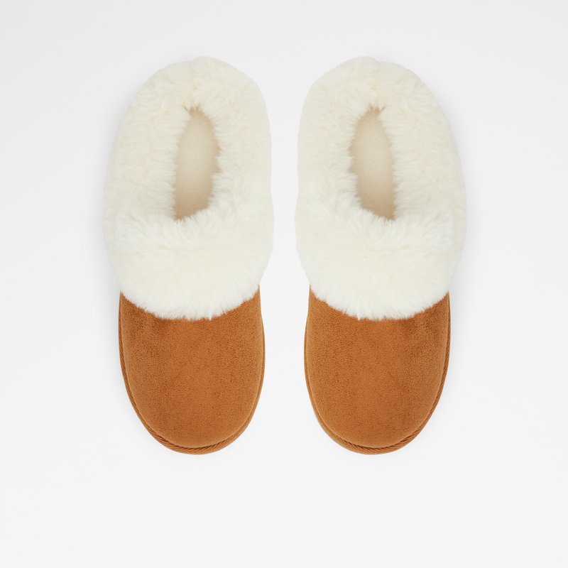 Women's Aldo Ethaynad Slippers Brown | 7260-JORQE