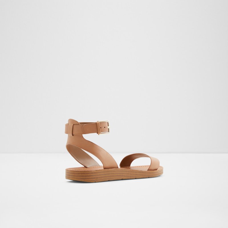 Women's Aldo Kedaredia Flat Sandals Brown | 9348-LEDJO