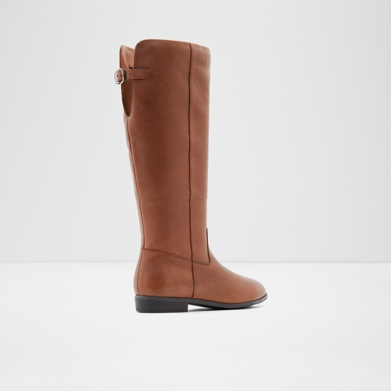Women's Aldo Keesha-wwc Knee High Boots Brown | 7108-ICEZL