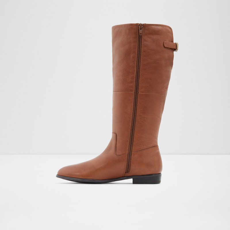 Women's Aldo Keesha-wwc Knee High Boots Brown | 7108-ICEZL