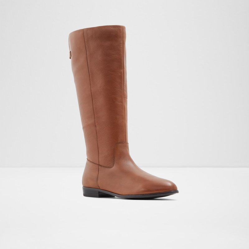 Women's Aldo Keesha-wwc Knee High Boots Brown | 7108-ICEZL