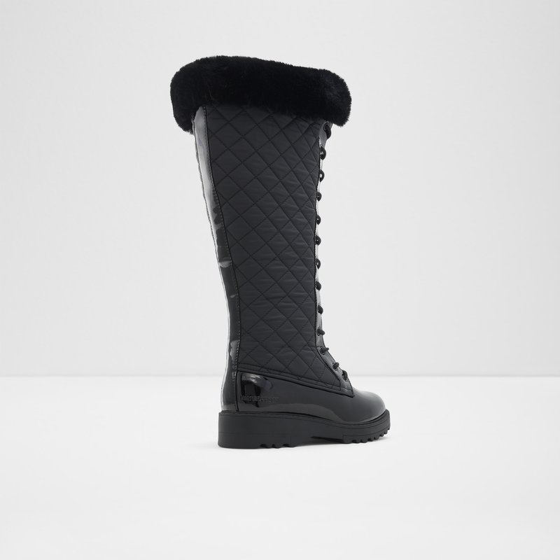 Women's Aldo Laralima Knee High Boots Black | 2893-VRHWG