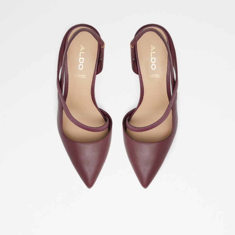 Women's Aldo Noideaa Pumps Brown | 2136-TMFHK