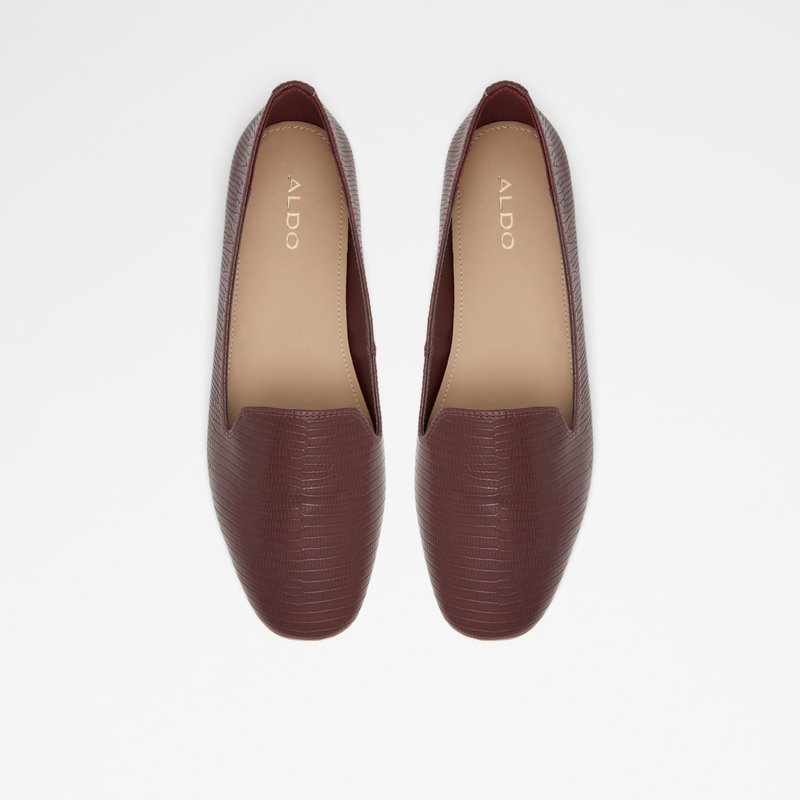 Women's Aldo Rammen Ballerinas Brown | 5234-JWQTX