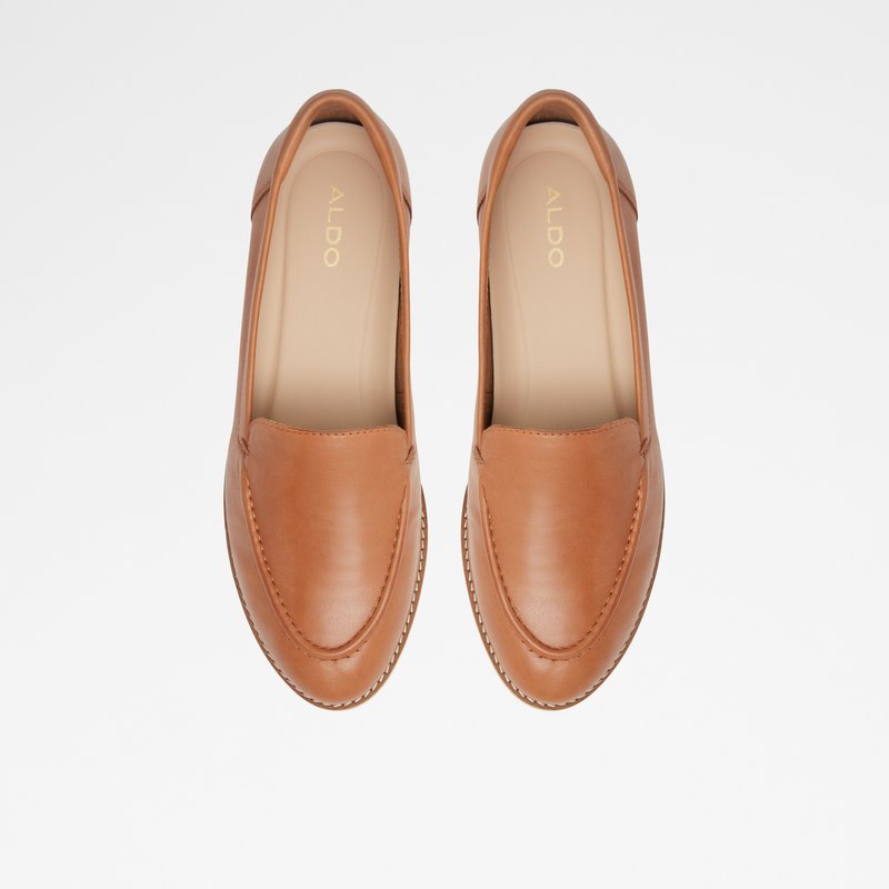 Women's Aldo Rheildanflex Loafers Brown | 1967-YFDGV