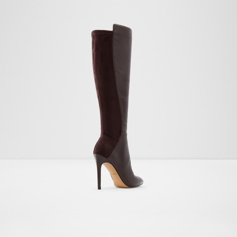 Women's Aldo Sophialaan Knee High Boots Brown | 6701-DNRWG