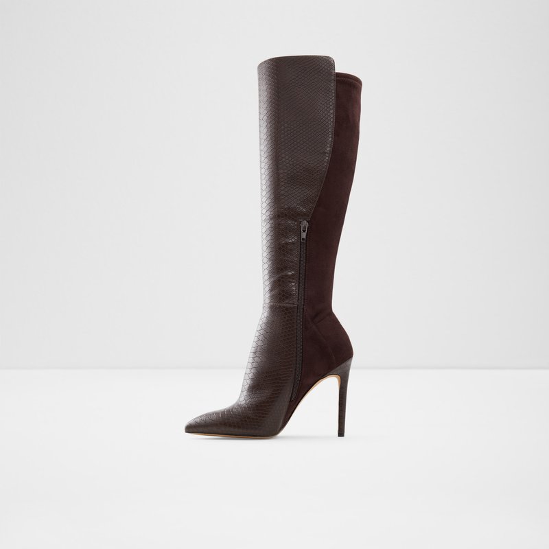 Women's Aldo Sophialaan Knee High Boots Brown | 6701-DNRWG