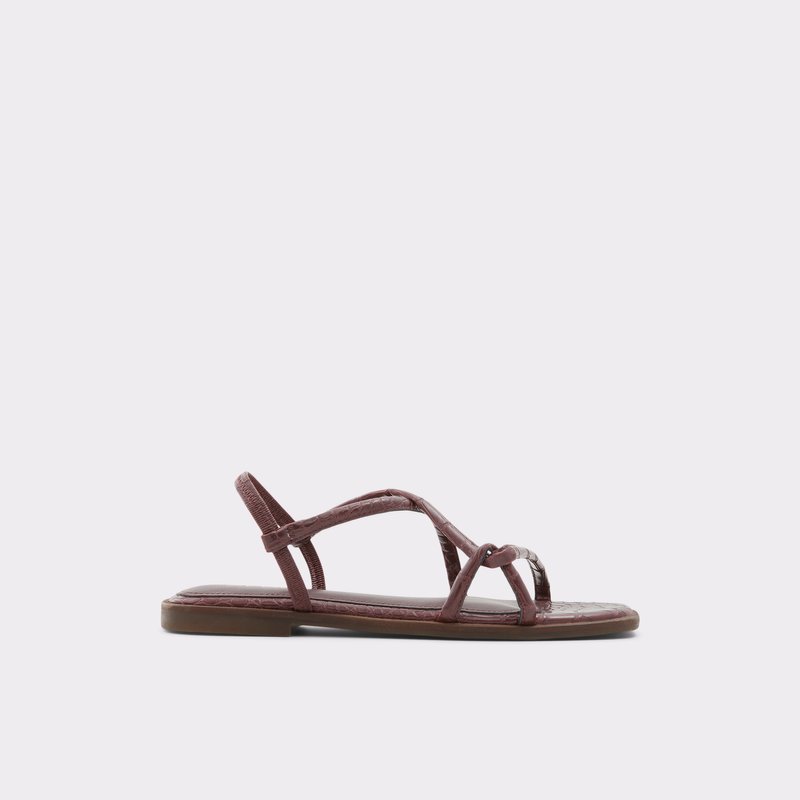 Women\'s Aldo Toosieflex Flat Sandals Brown | 4927-BESJZ
